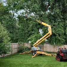 Best Tree Preservation Services  in Hastings, MI